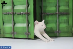 1/6 Scale stretching Cat