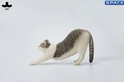 1/6 Scale stretching Cat Version D
