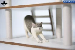 1/6 Scale stretching Cat Version D