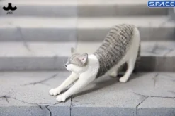 1/6 Scale stretching Cat Version D