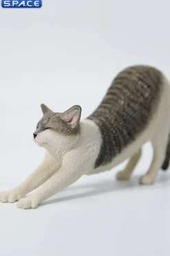 1/6 Scale stretching Cat Version D