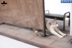 1/6 Scale stretching Cat Version D