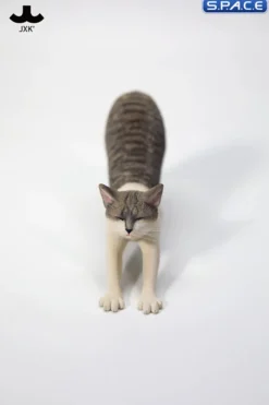 1/6 Scale stretching Cat Version D