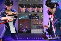 1/6 Scale Sung Jinwoo TV Masterpiece TMS193