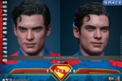 1/6 Scale Superman & Krypto Movie Masterpiece Set MMS812