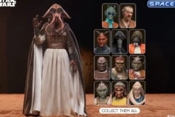 1/6 Scale Tessek Scum & Villainy