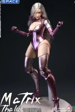 1/6 Scale The Liz - Matrix