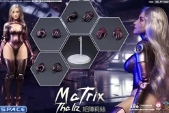 1/6 Scale The Liz - Matrix