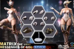 1/6 Scale The Messenger of God - Matrix