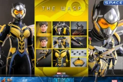 1/6 Scale The Wasp Movie Masterpiece MMS691