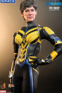 1/6 Scale The Wasp Movie Masterpiece MMS691