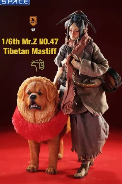 1/6 Scale Tibetan Mastiff