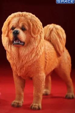 1/6 Scale Tibetan Mastiff