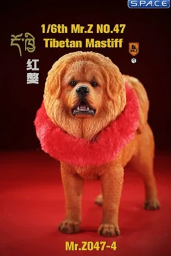 1/6 Scale Tibetan Mastiff