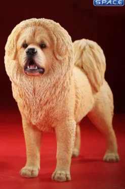 1/6 Scale Tibetan Mastiff