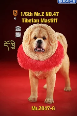 1/6 Scale Tibetan Mastiff
