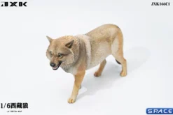 1/6 Scale Tibetan Wolf