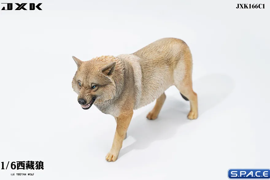 1/6 Scale Tibetan Wolf