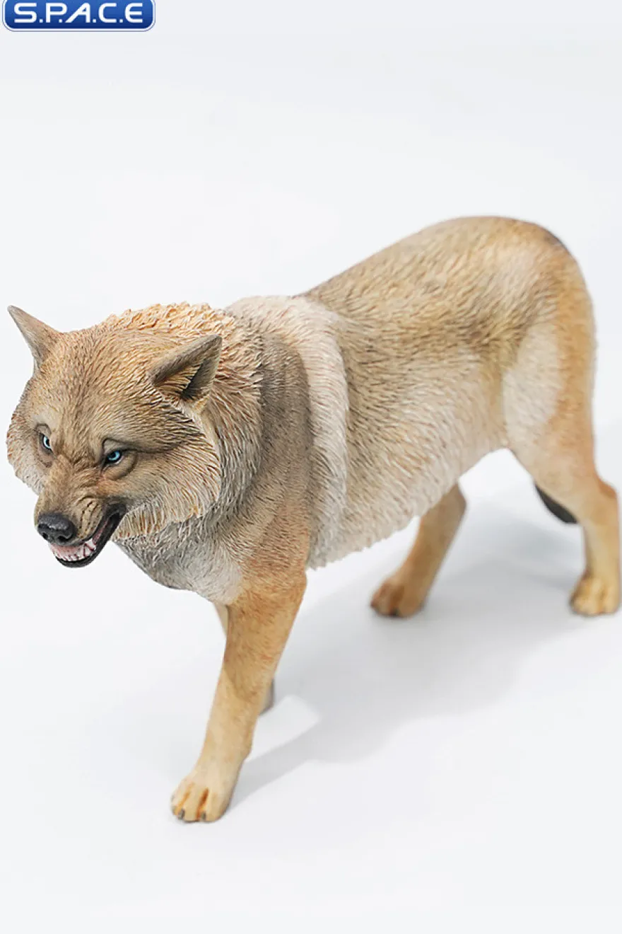 1/6 Scale Tibetan Wolf