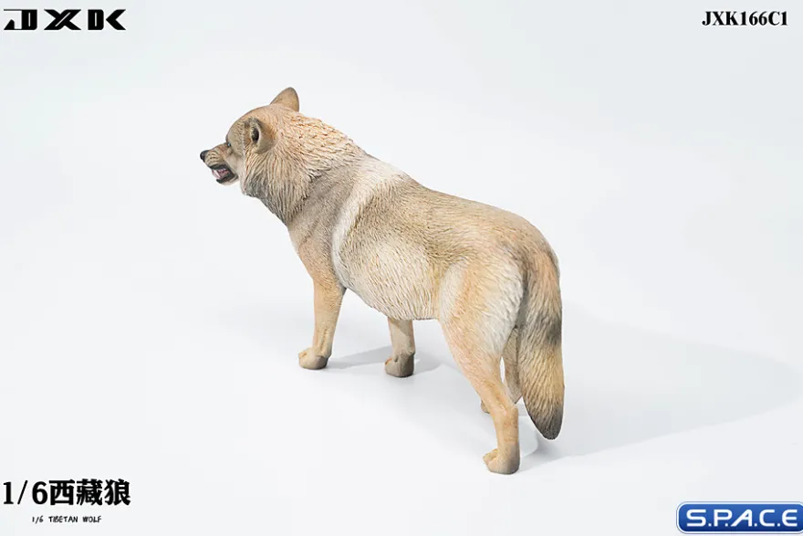 1/6 Scale Tibetan Wolf
