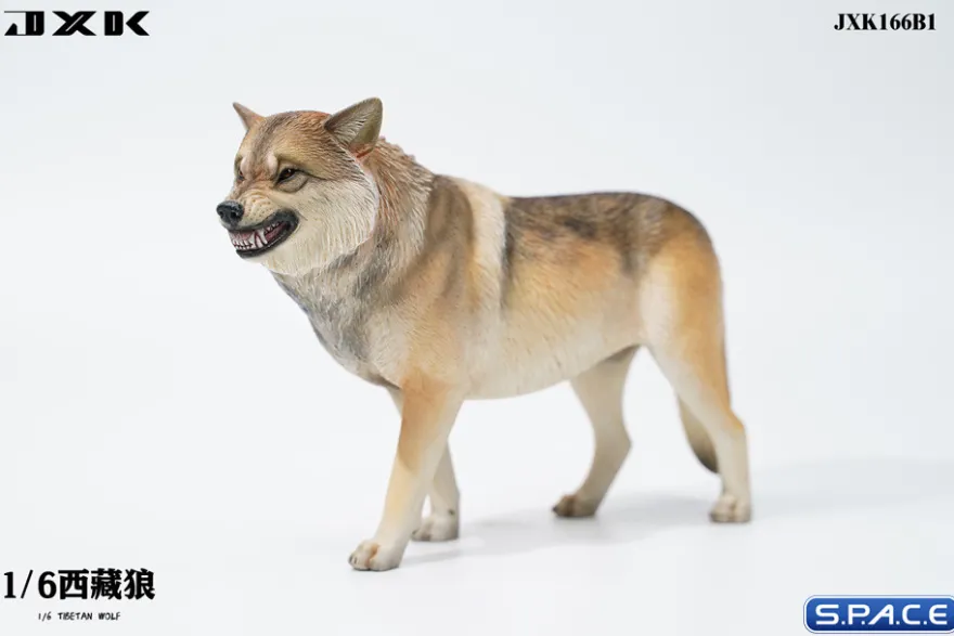 1/6 Scale Tibetan Wolf