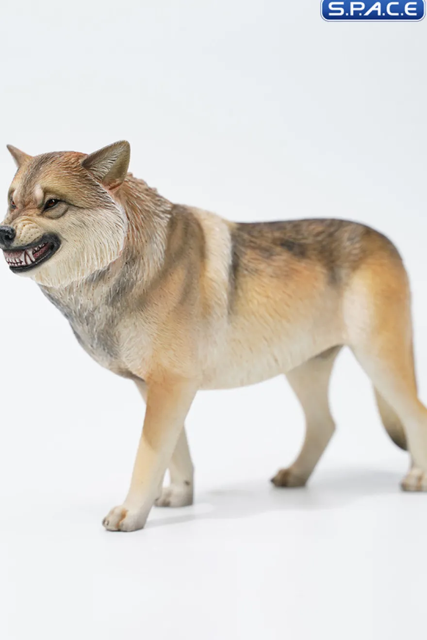 1/6 Scale Tibetan Wolf