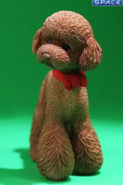 1/6 Scale Toy Poodle