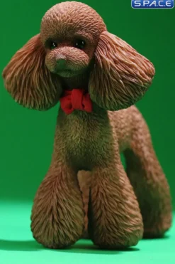 1/6 Scale Toy Poodle