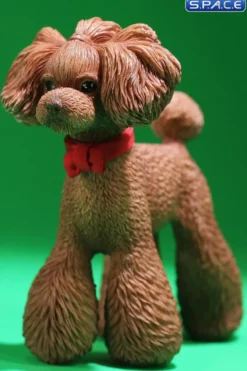 1/6 Scale Toy Poodle
