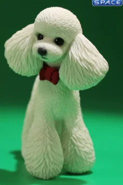 1/6 Scale Toy Poodle