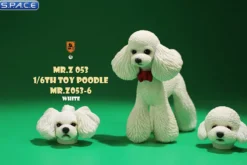 1/6 Scale Toy Poodle