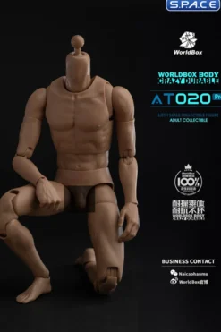 1/6 Scale Universal Body AT020 Pro