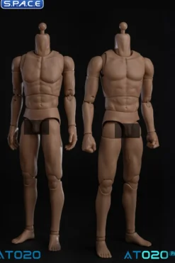 1/6 Scale Universal Body AT020 Pro