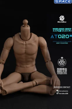 1/6 Scale Universal Body AT020 Pro