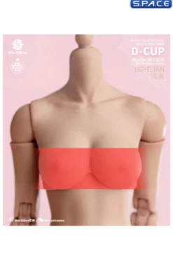 1/6 Scale upper body D-Cup