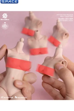 1/6 Scale upper body D-Cup