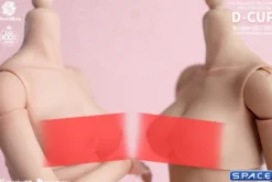 1/6 Scale upper body D-Cup