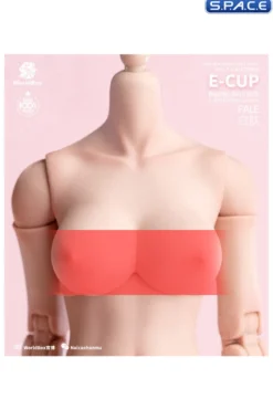1/6 Scale upper body E-Cup