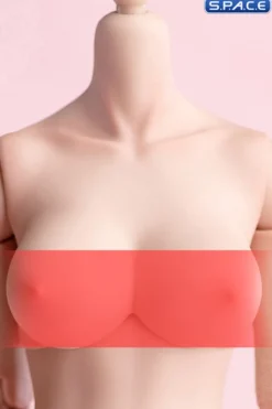 1/6 Scale upper body E-Cup