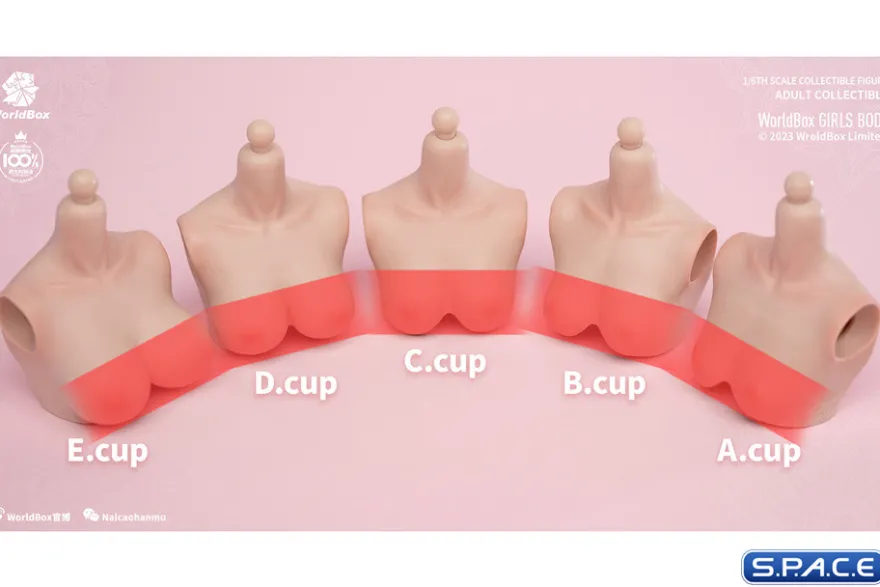 1/6 Scale upper body E-Cup