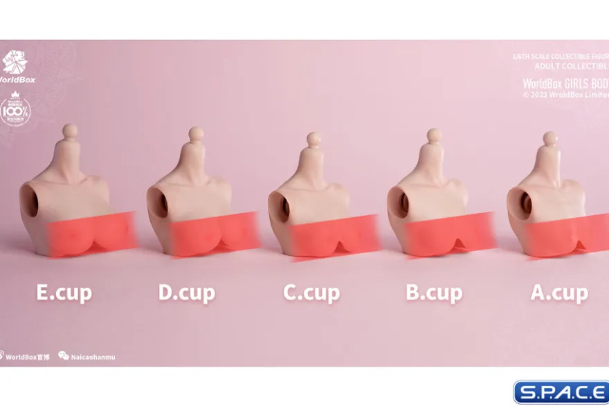 1/6 Scale upper body E-Cup