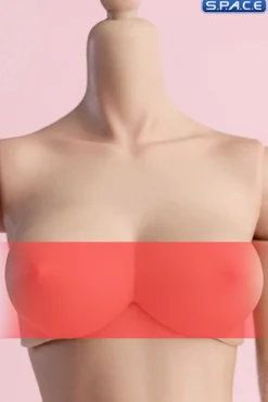 1/6 Scale upper body E-Cup