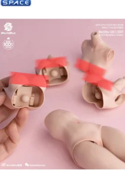 1/6 Scale upper body E-Cup