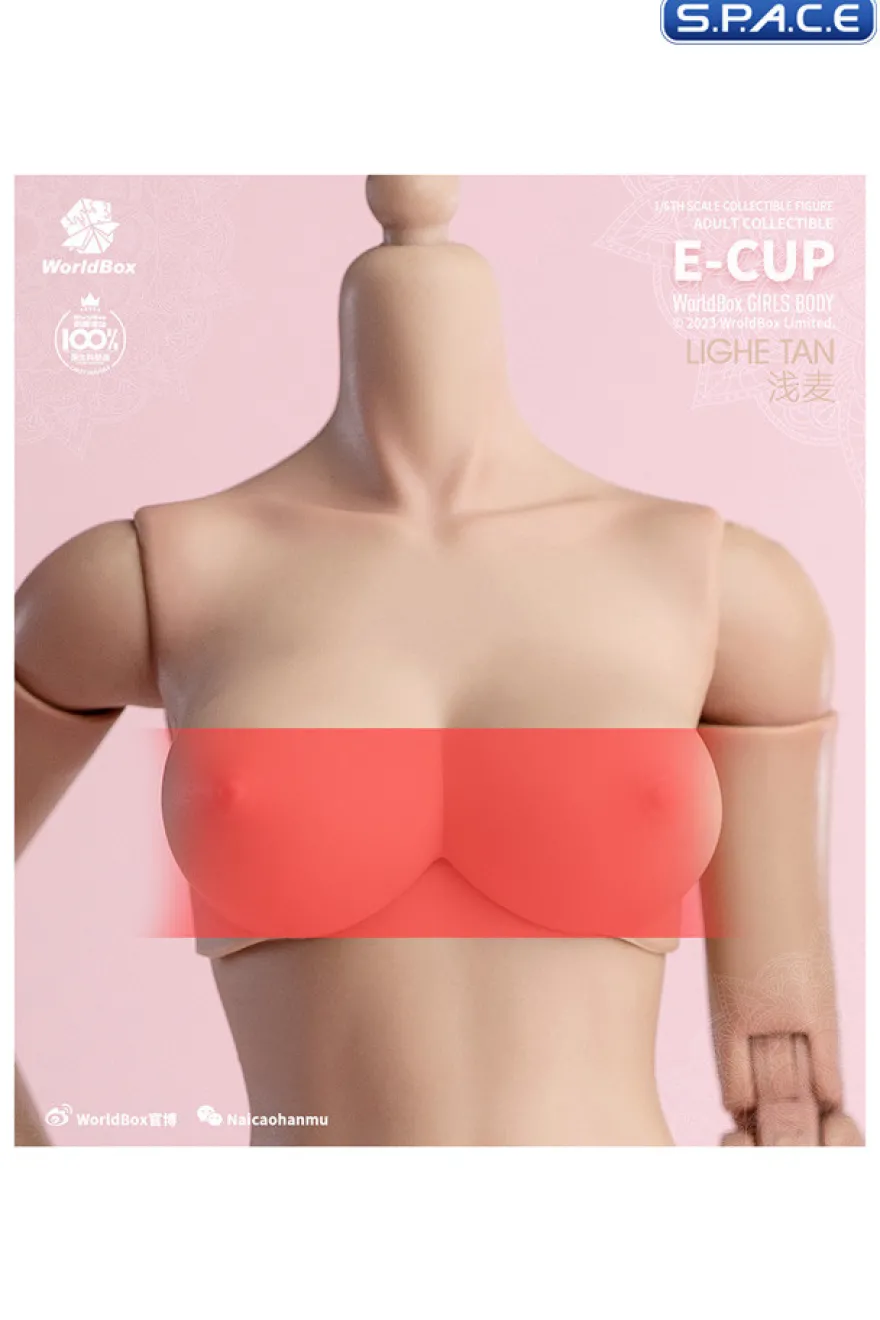 1/6 Scale upper body E-Cup