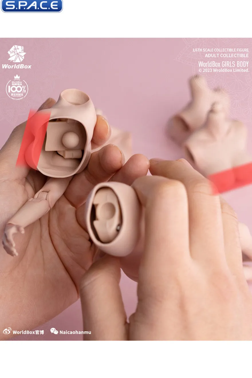 1/6 Scale upper body E-Cup