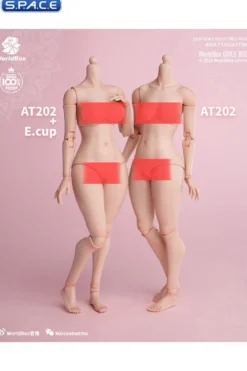 1/6 Scale upper body E-Cup