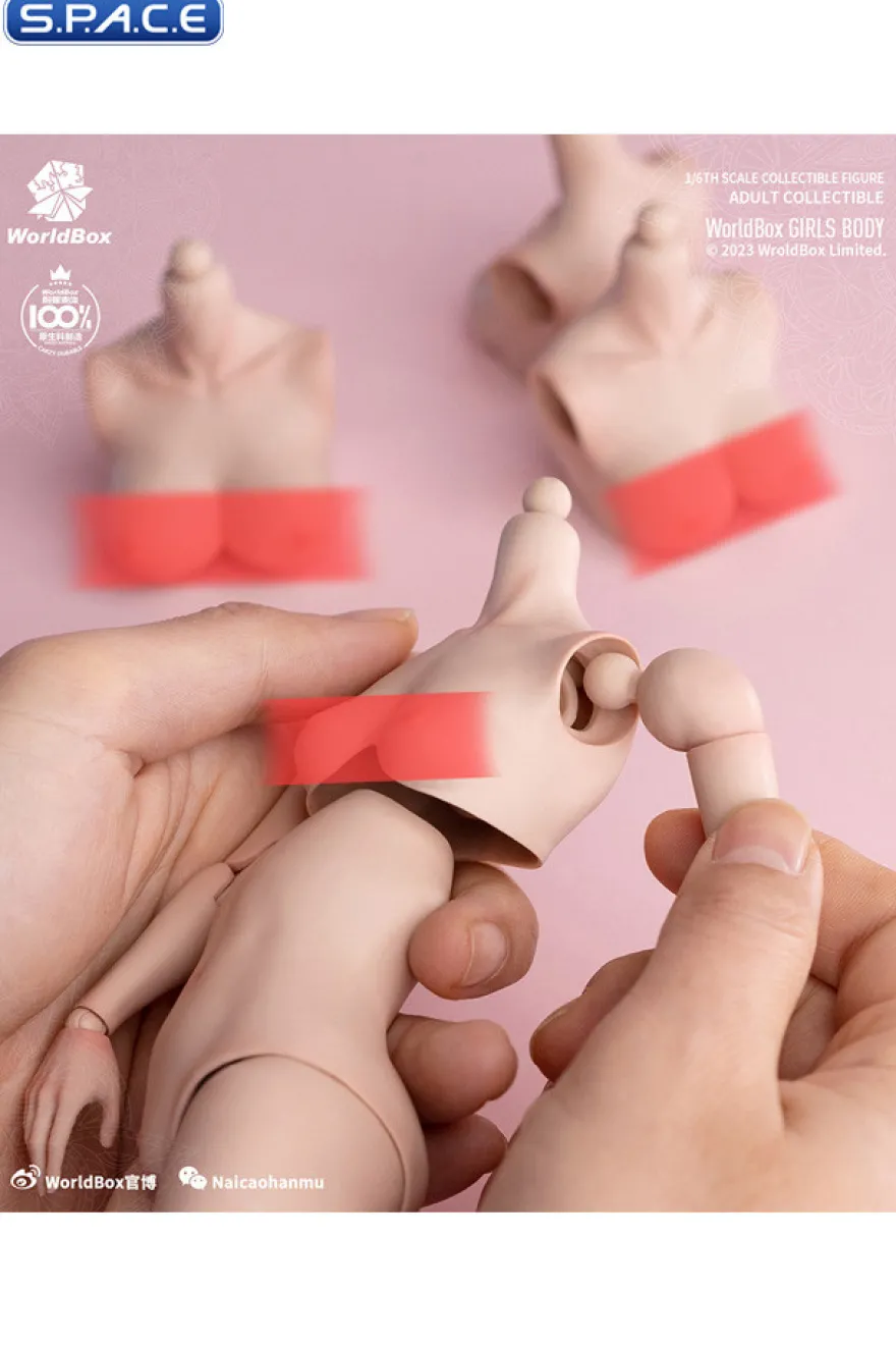 1/6 Scale upper body E-Cup