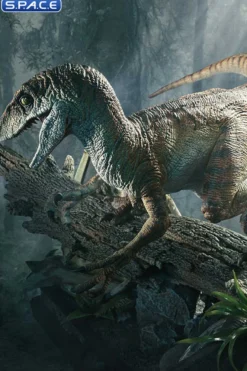 1/6 Scale Velociraptor Legacy Museum Collection Statue