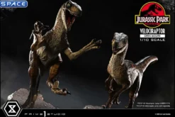 1/10 Scale Velociraptor Prime Collectible Figures Statue - open Mouth Version