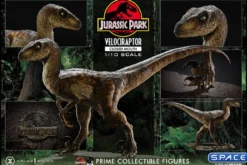 1/10 Scale Velociraptor Prime Collectible Figures Statue